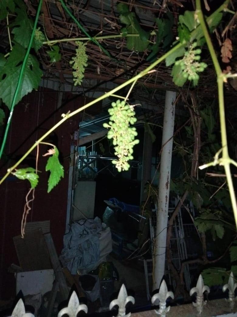 Singgahan Keluarga Jitu Jitra Buitenkant foto
